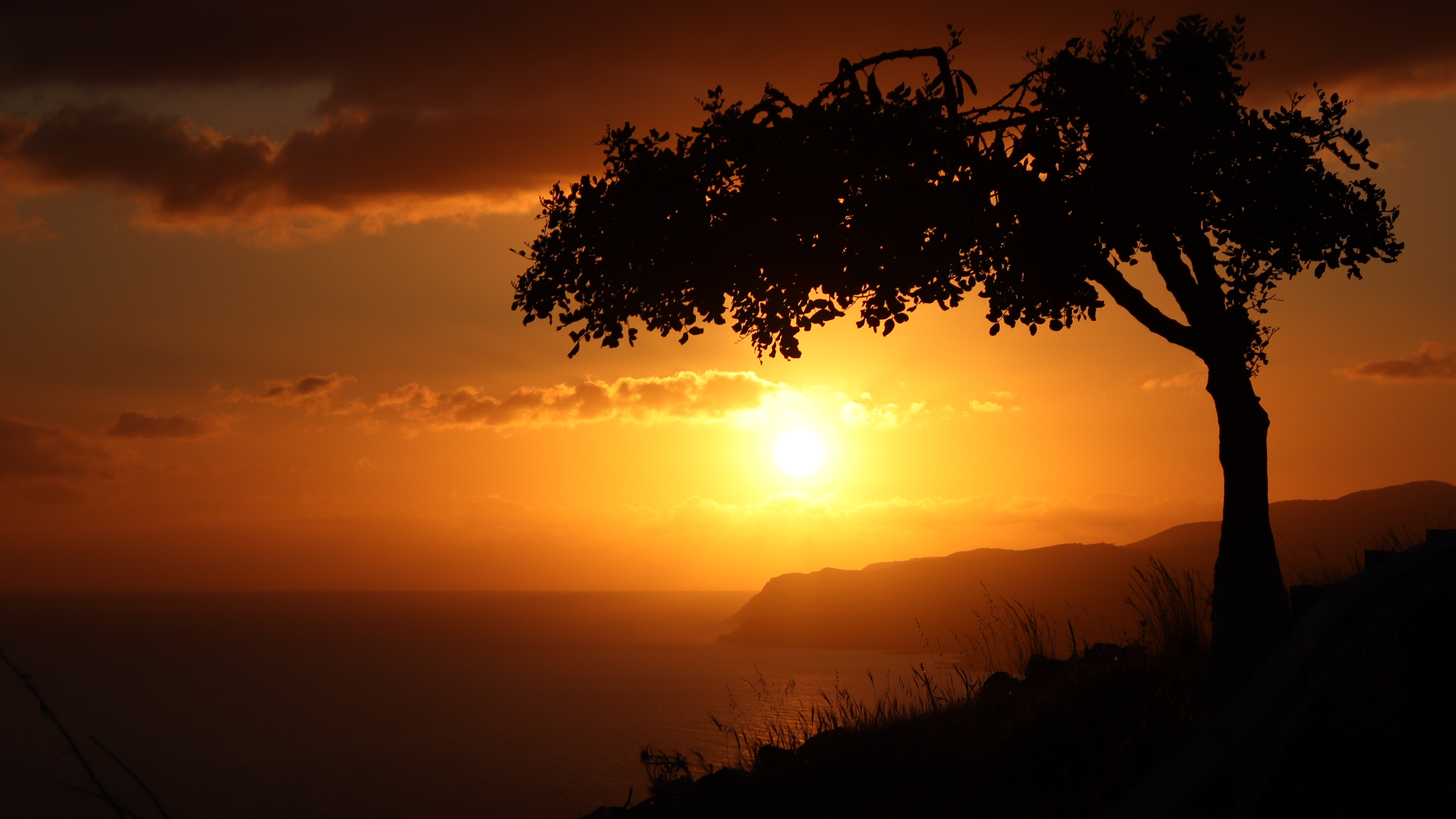 Sunrise #1