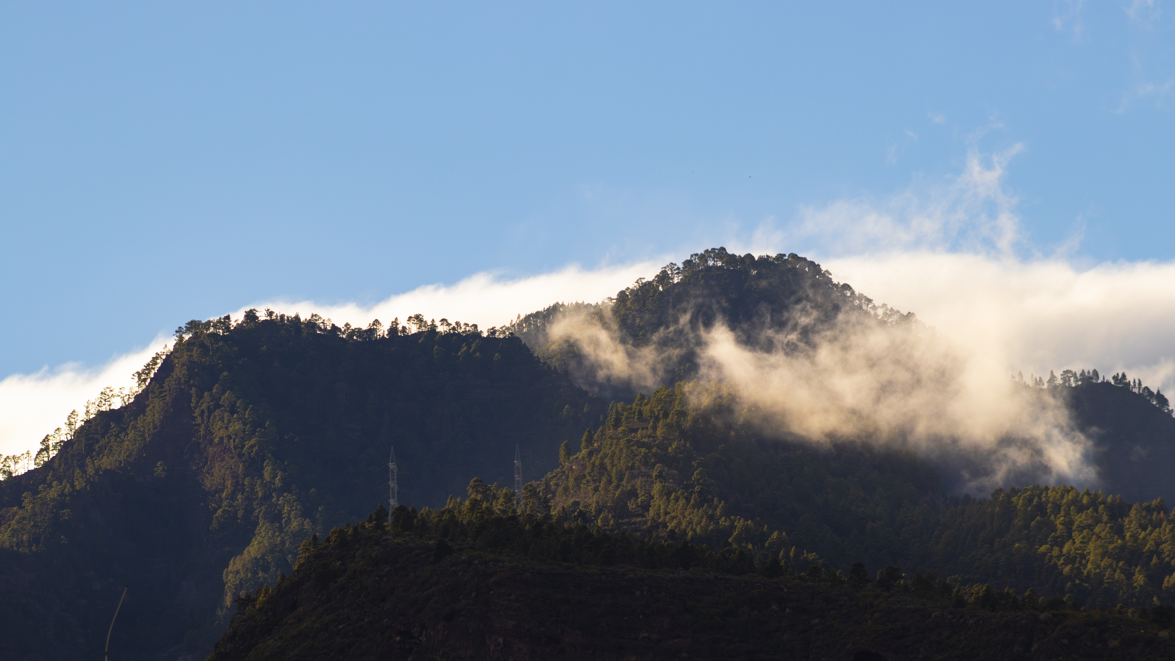 Ridge