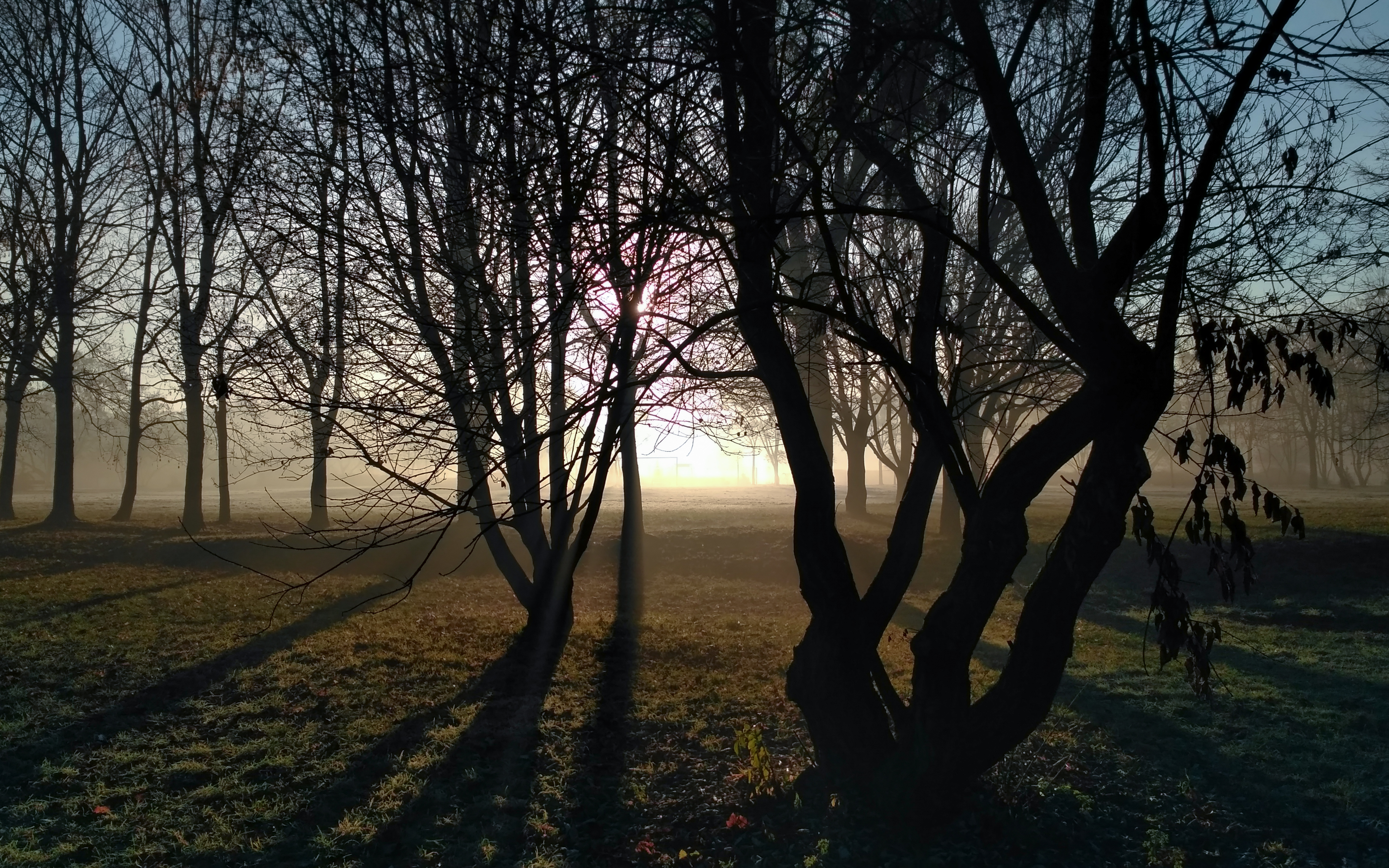 Winter morning