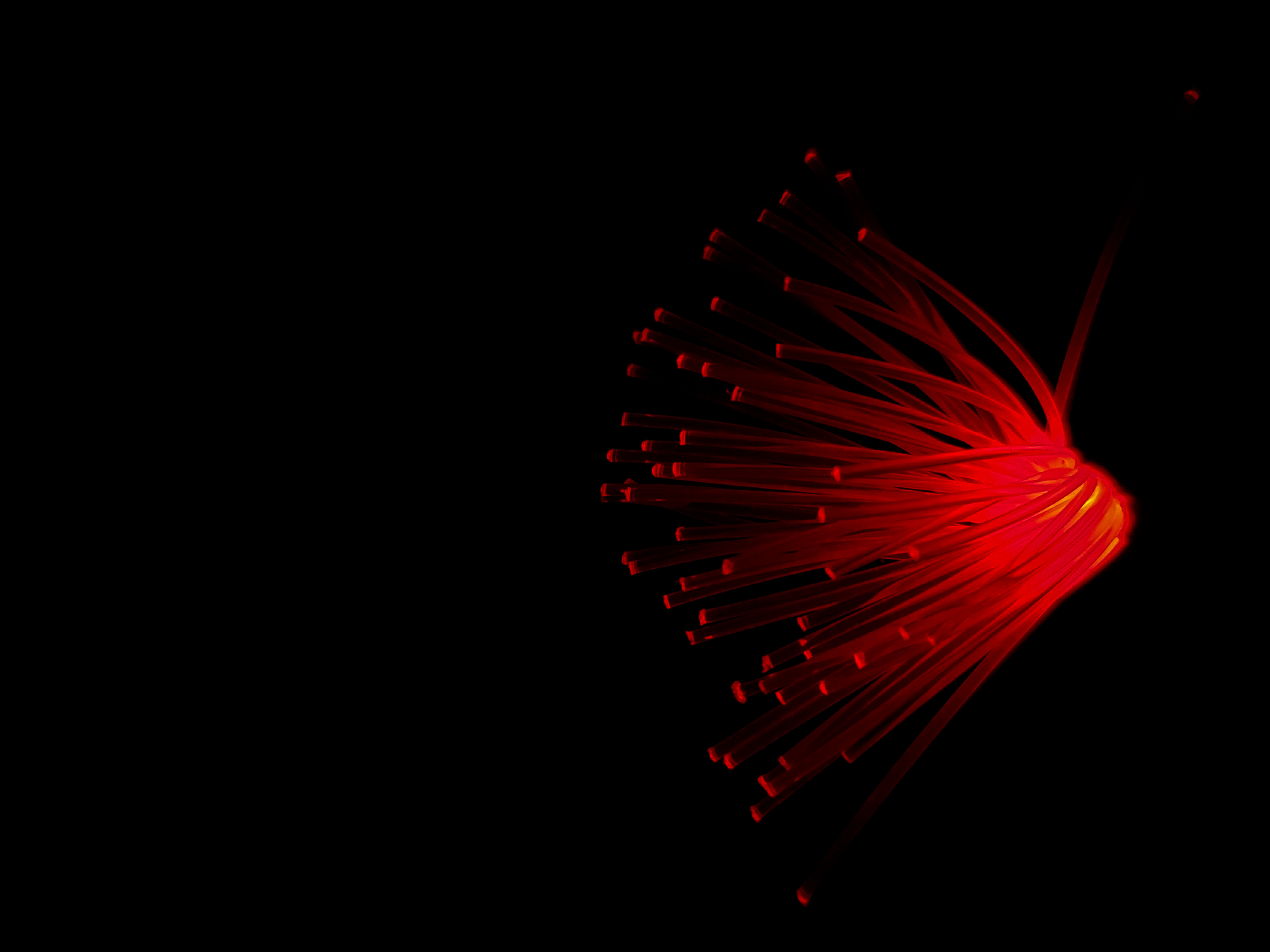 Fibers