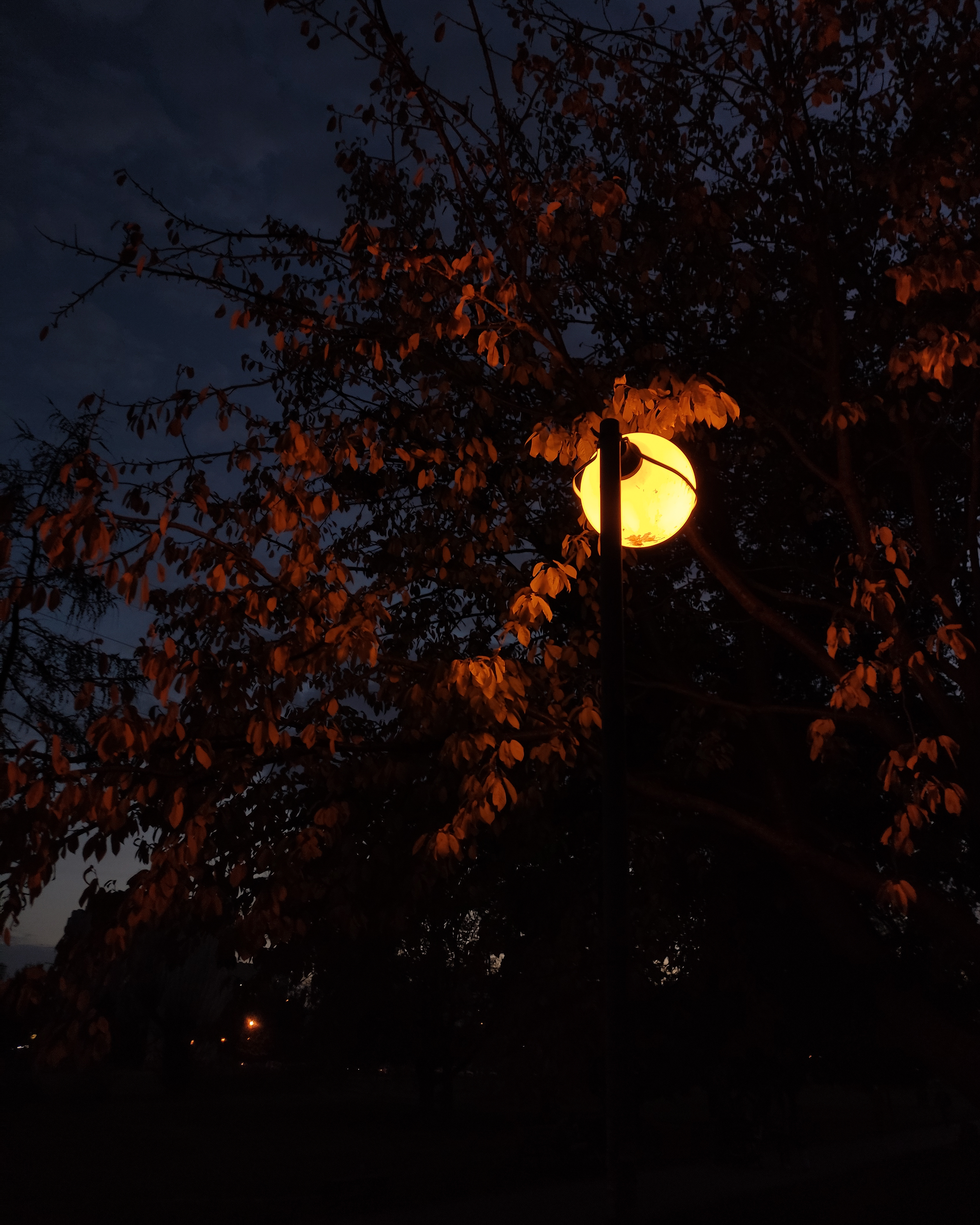Autumn vibes