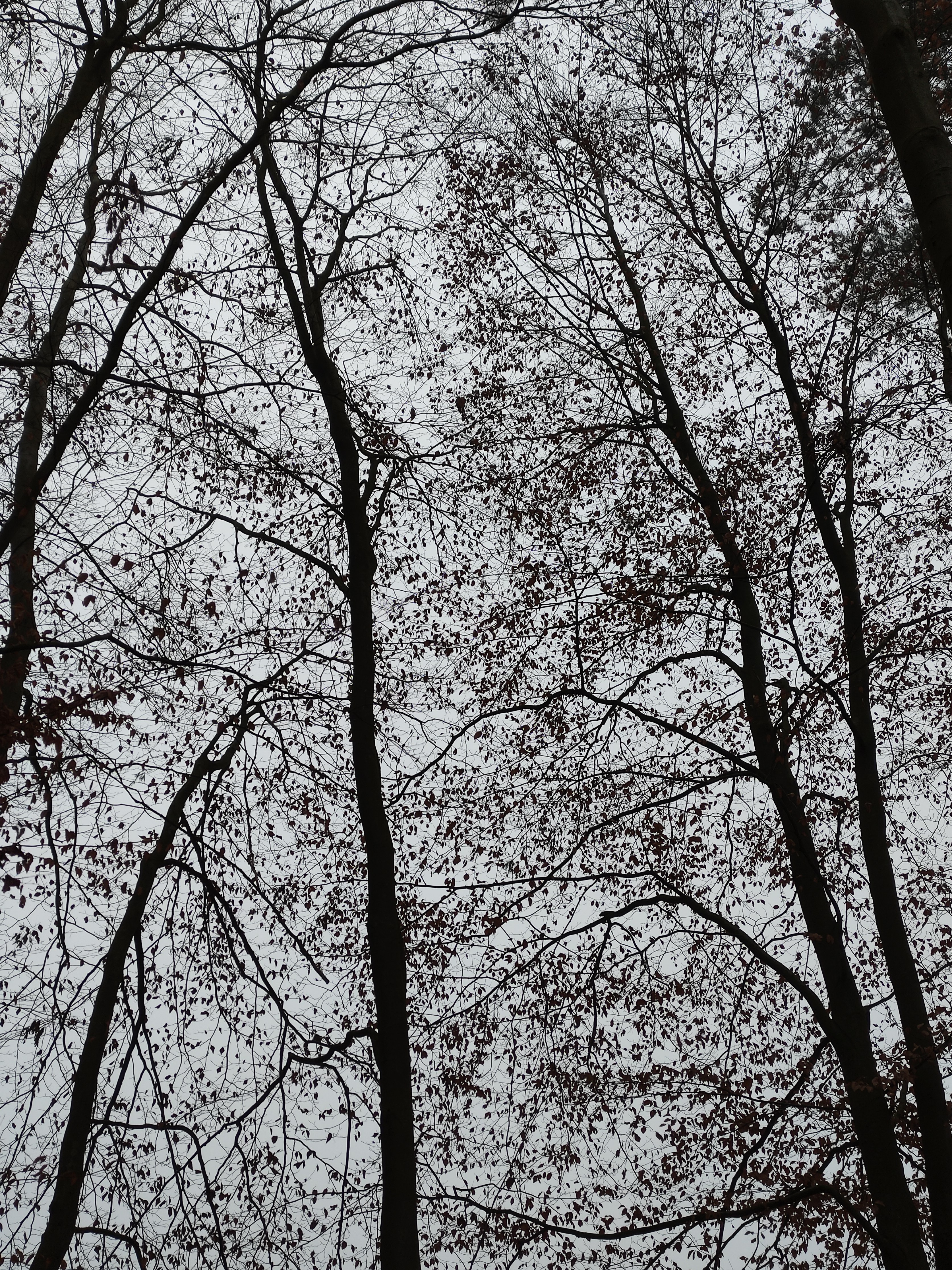 Sky cracks