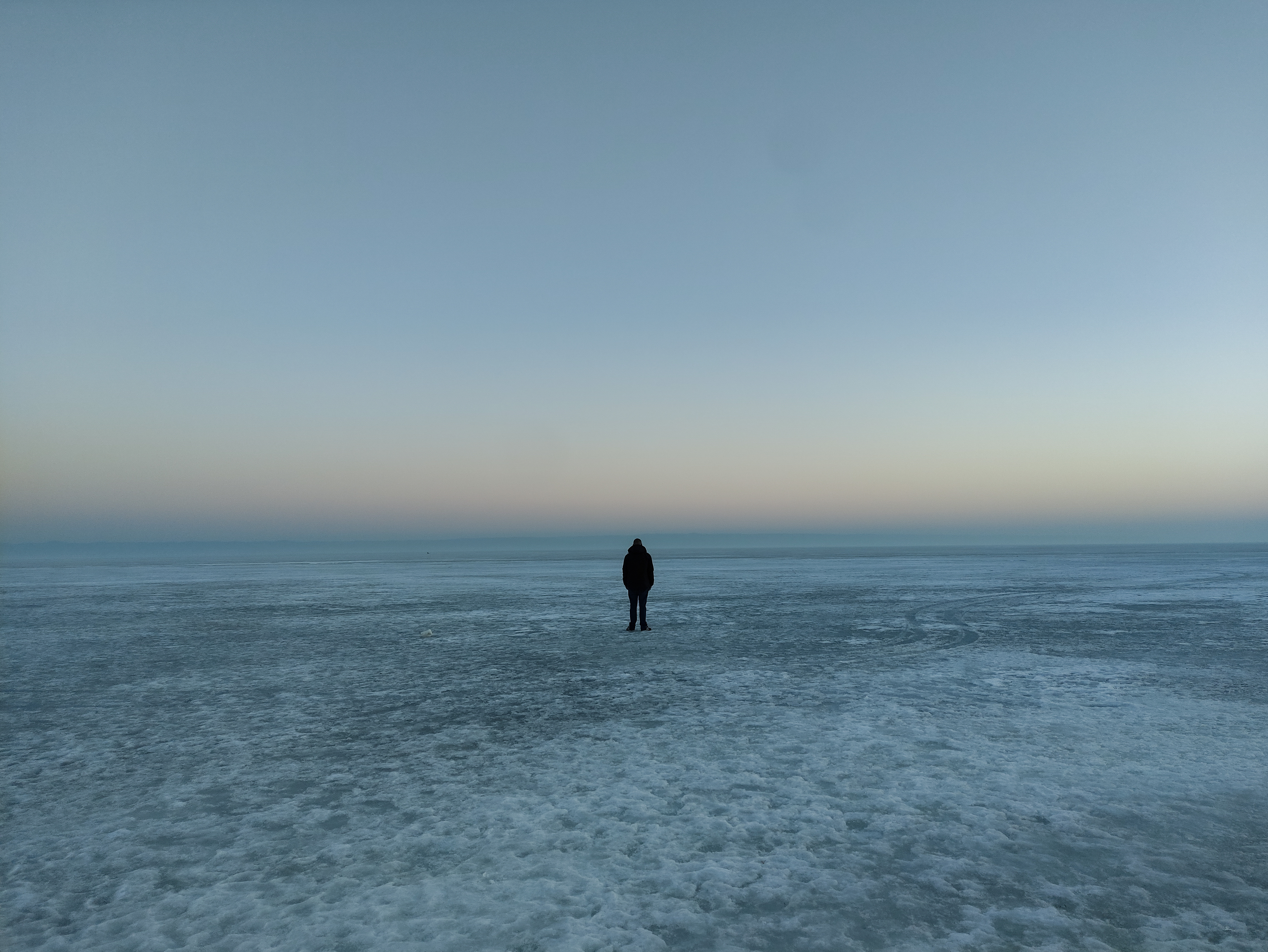Polar desert