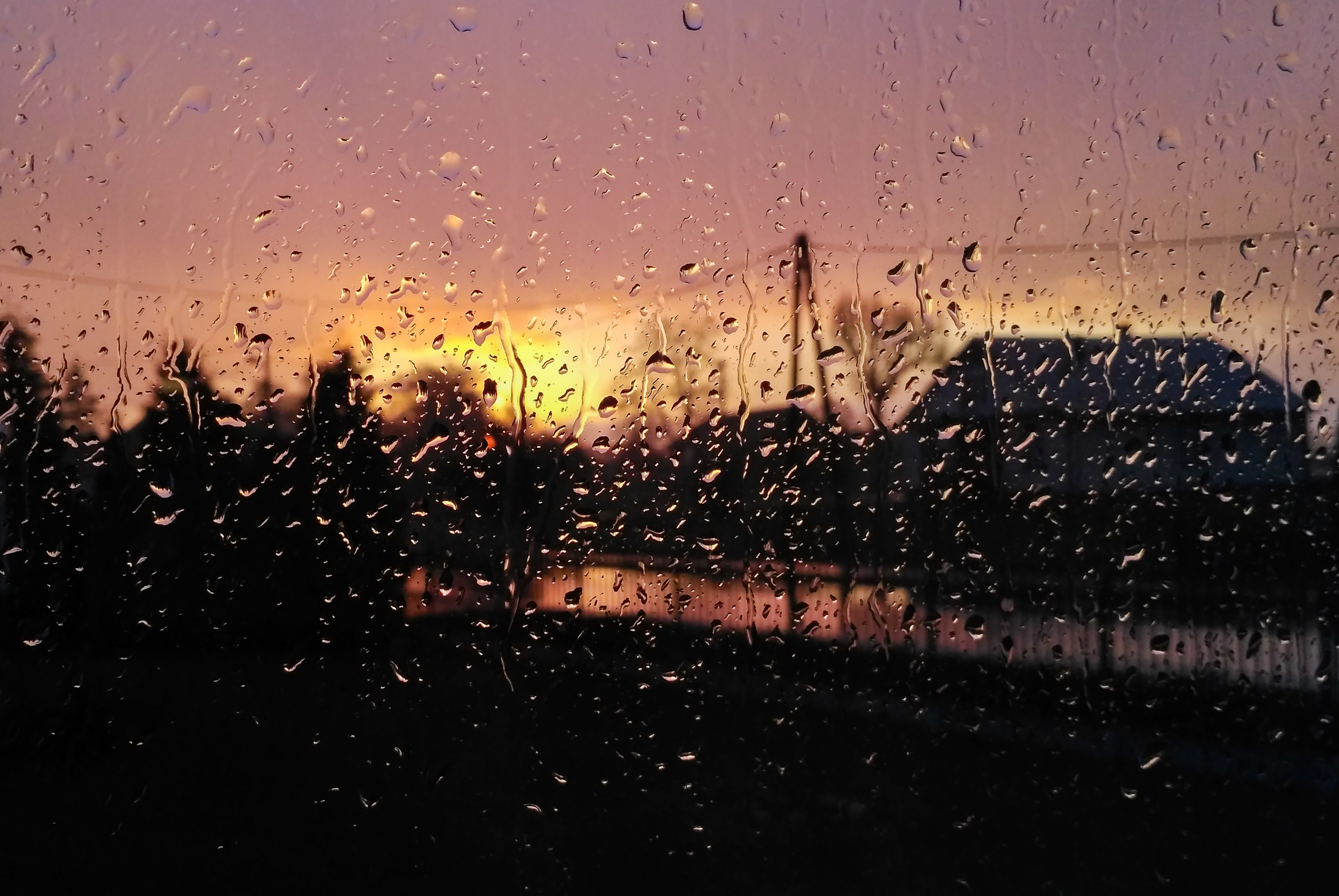 Sunset #1