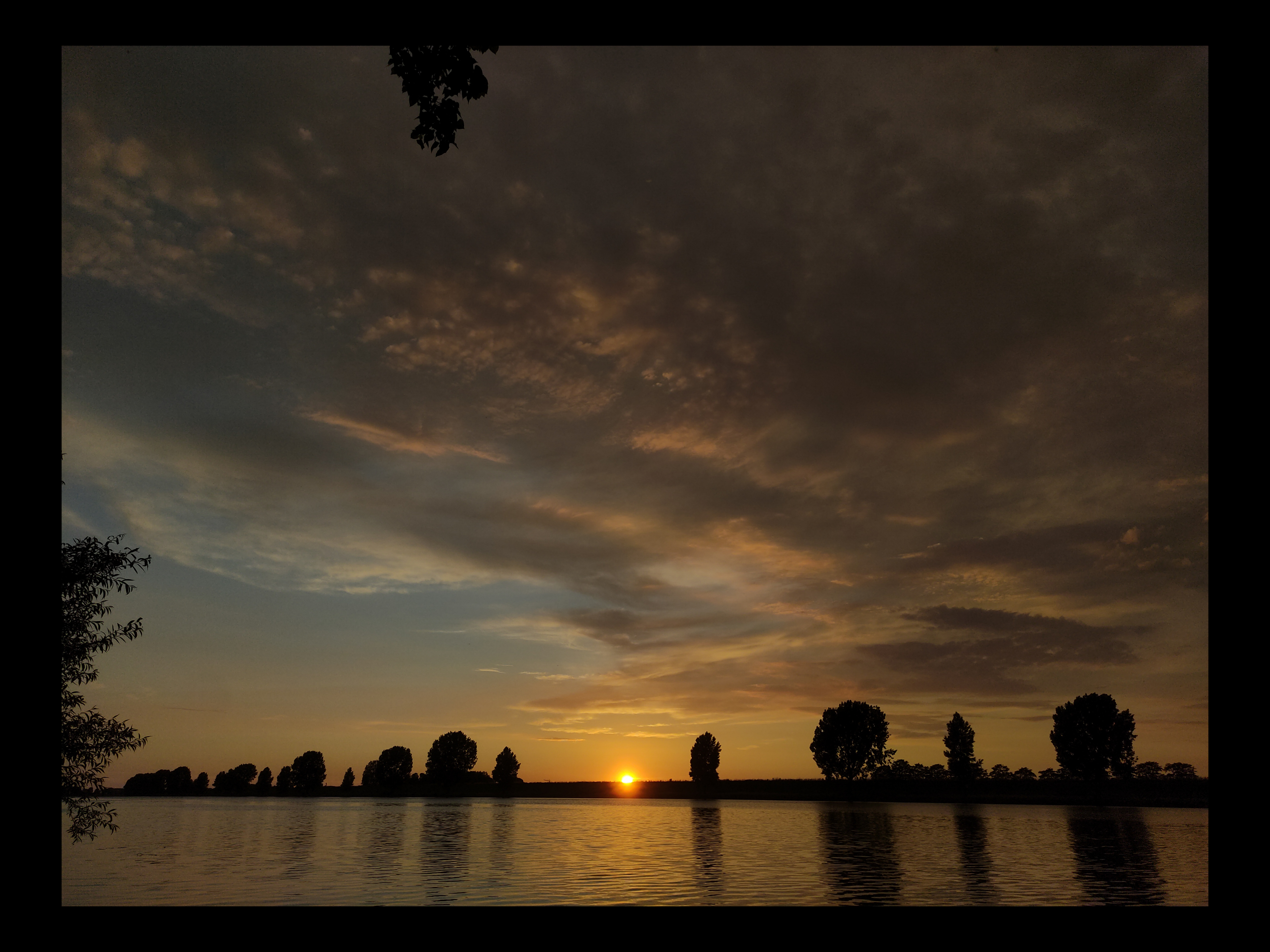 Waal #2