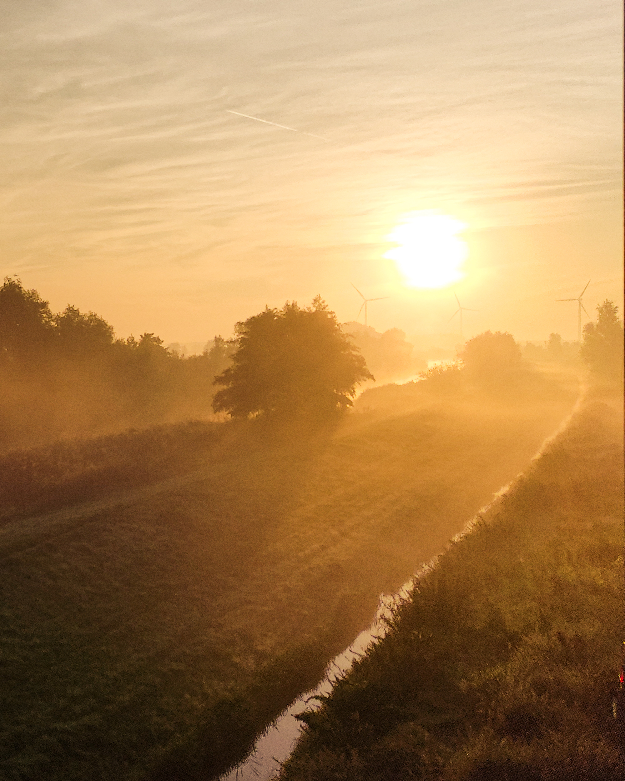 Foggy morning