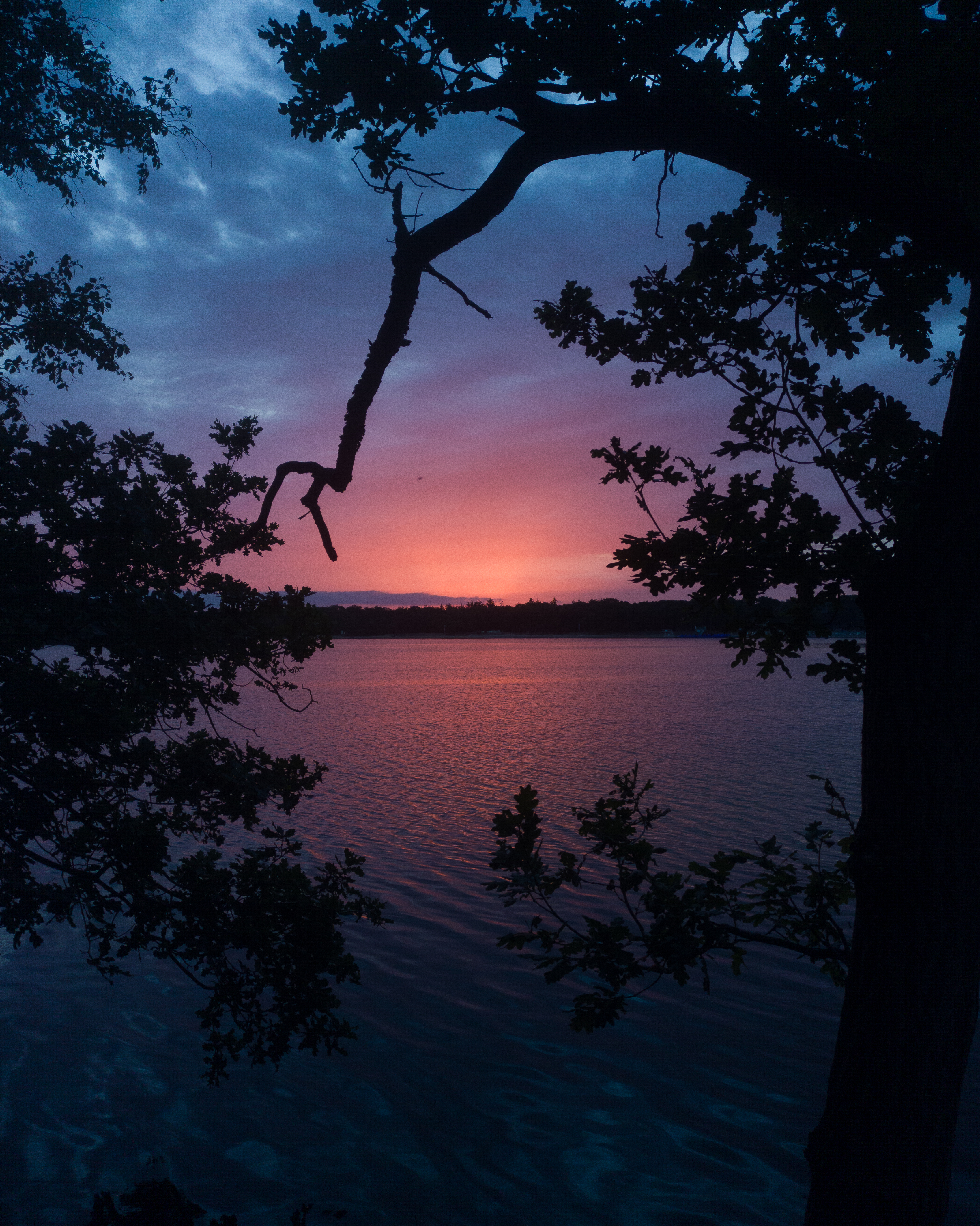 Surrounded sunset