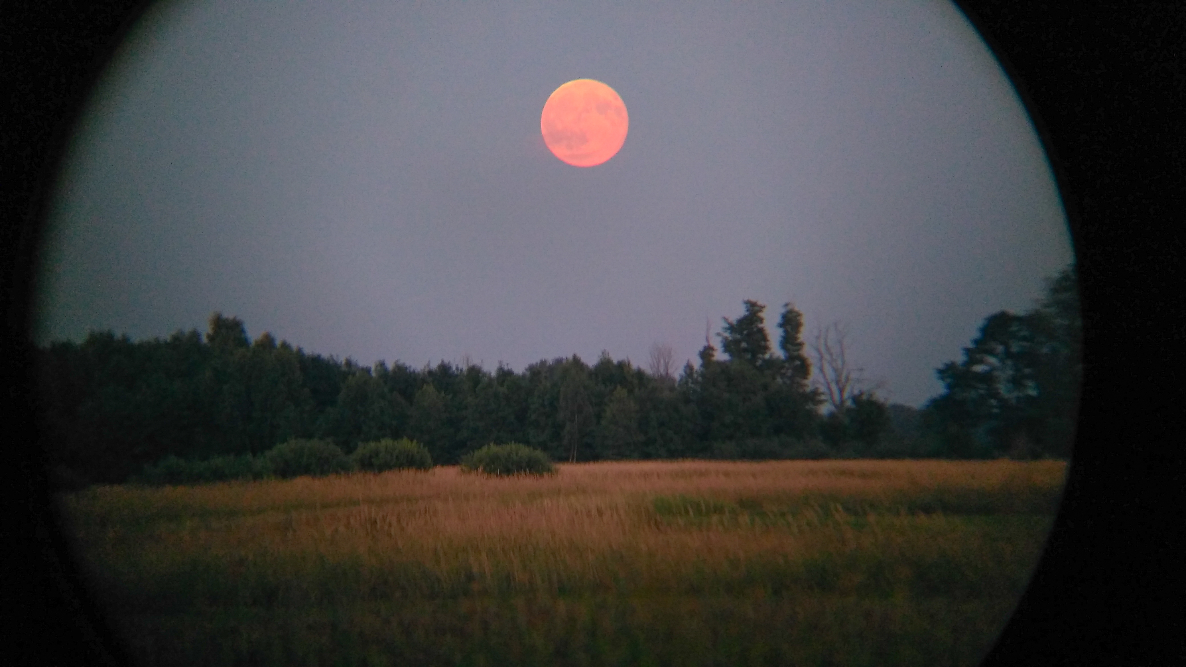 Moon shot attempt