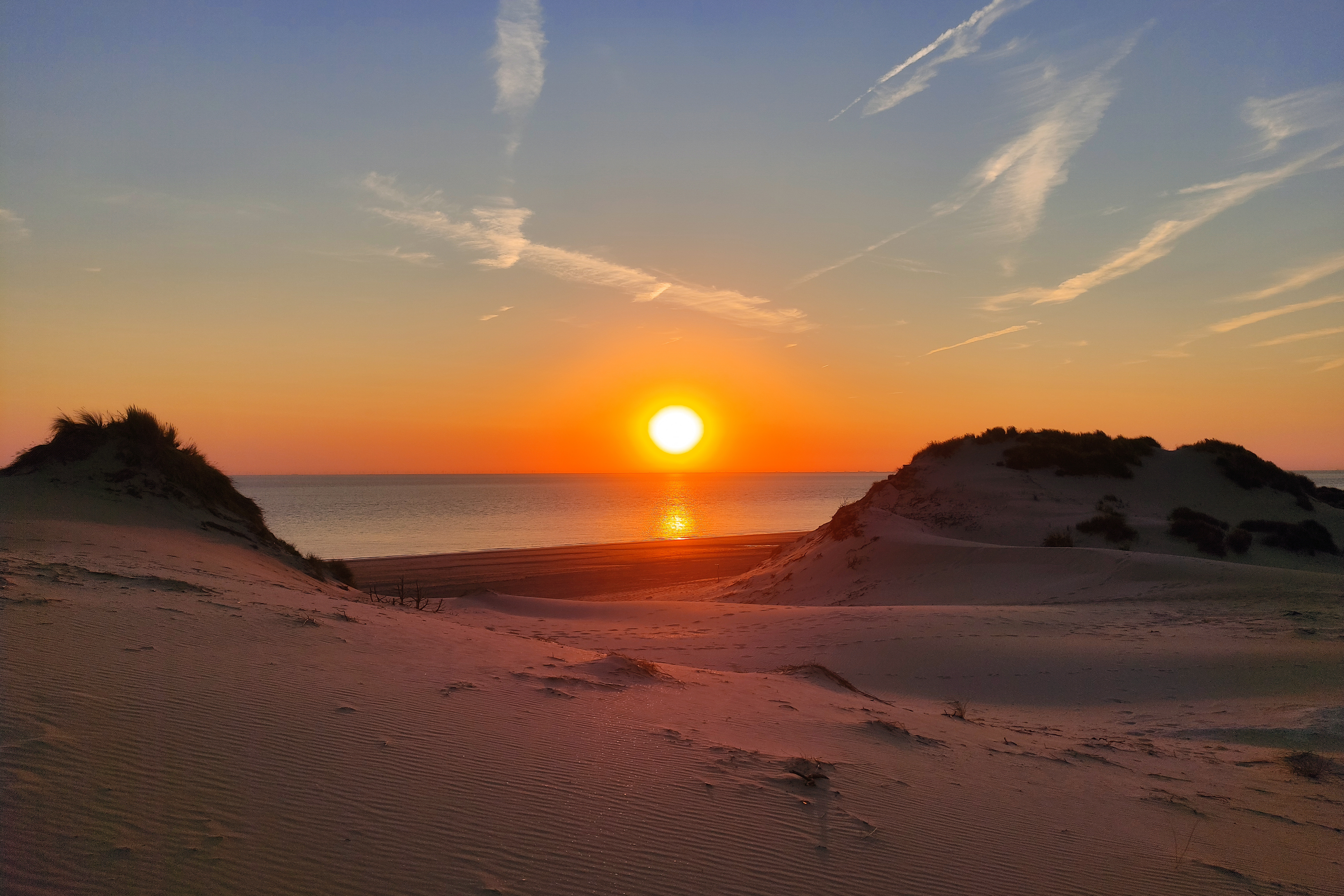 Sunset #5