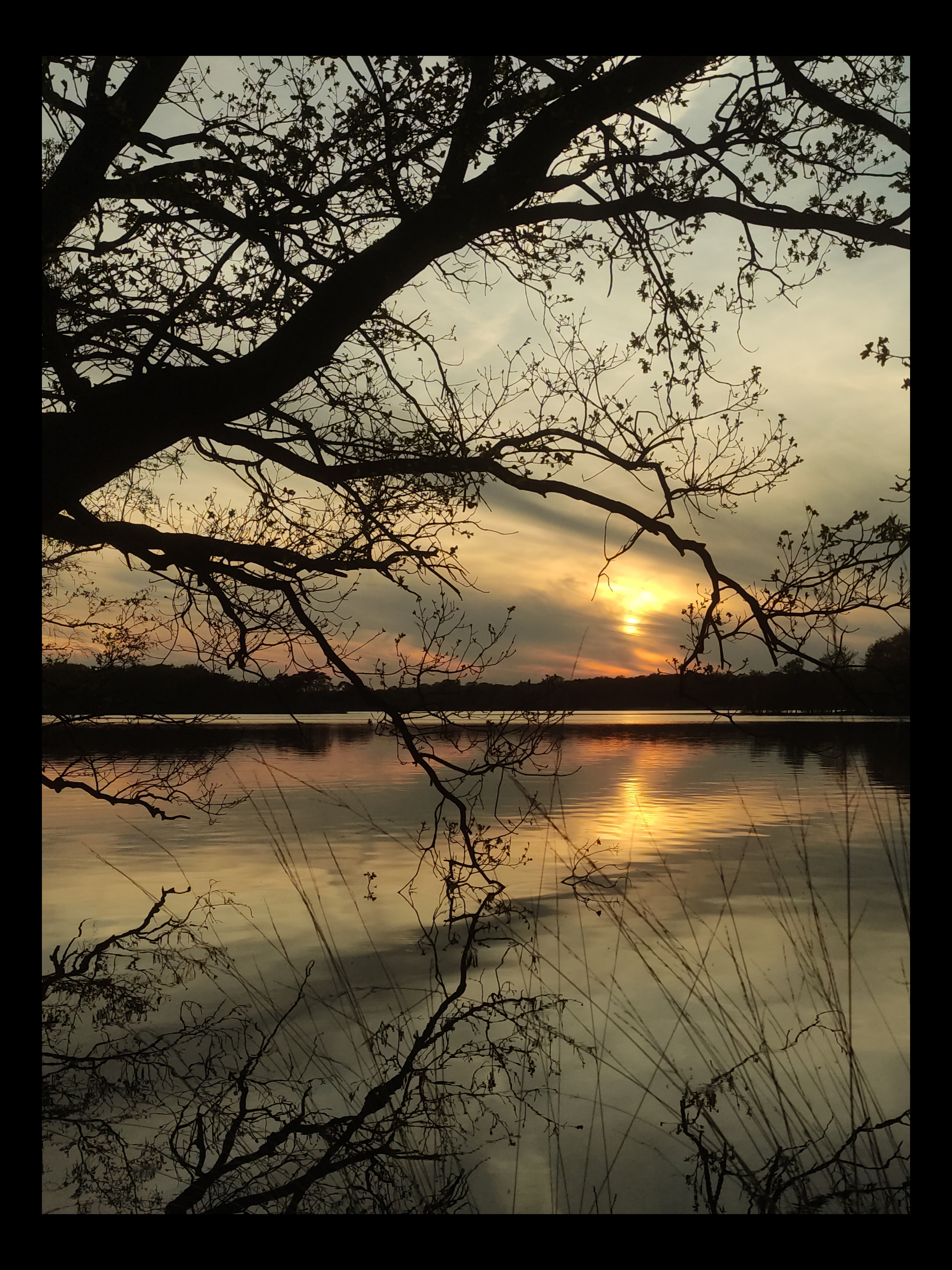 Nature filter