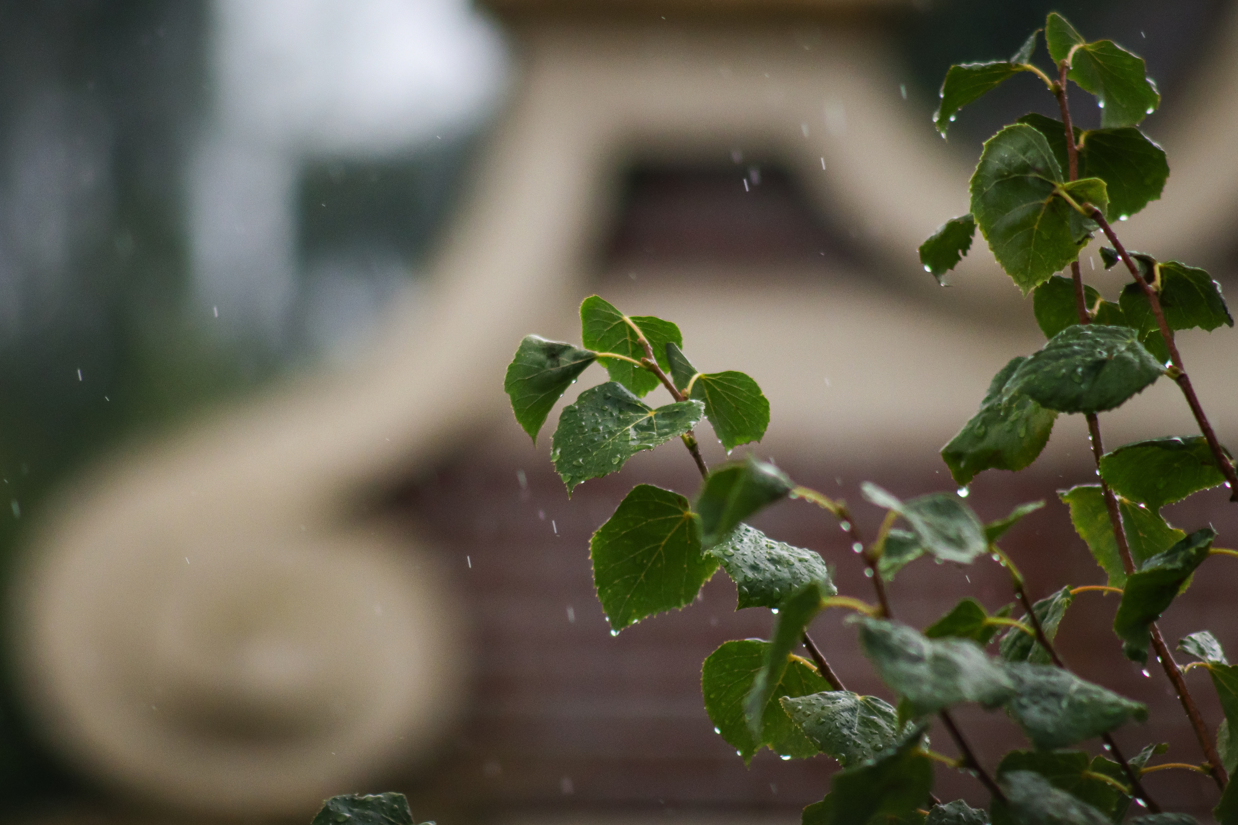 Droplets