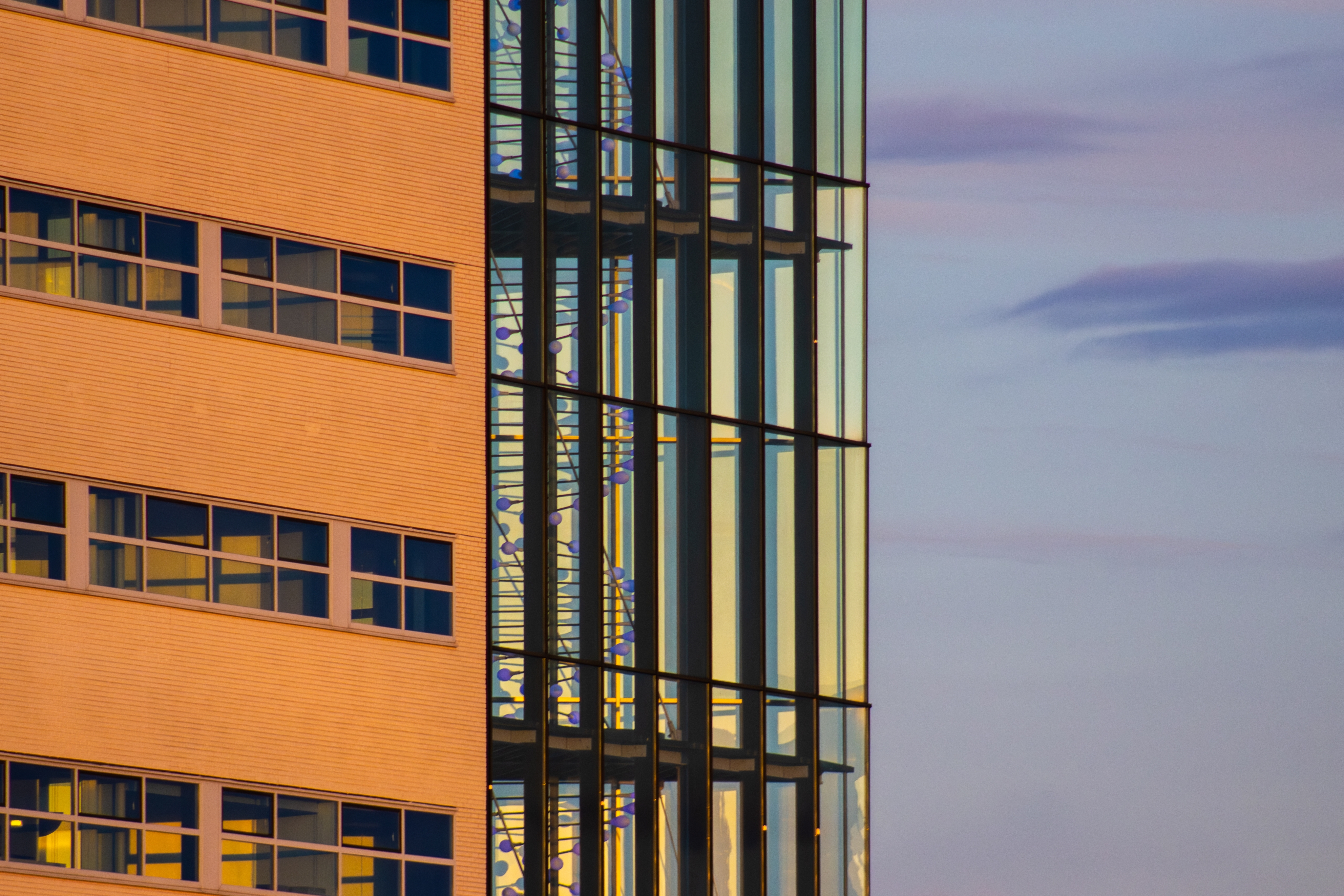 The double helix