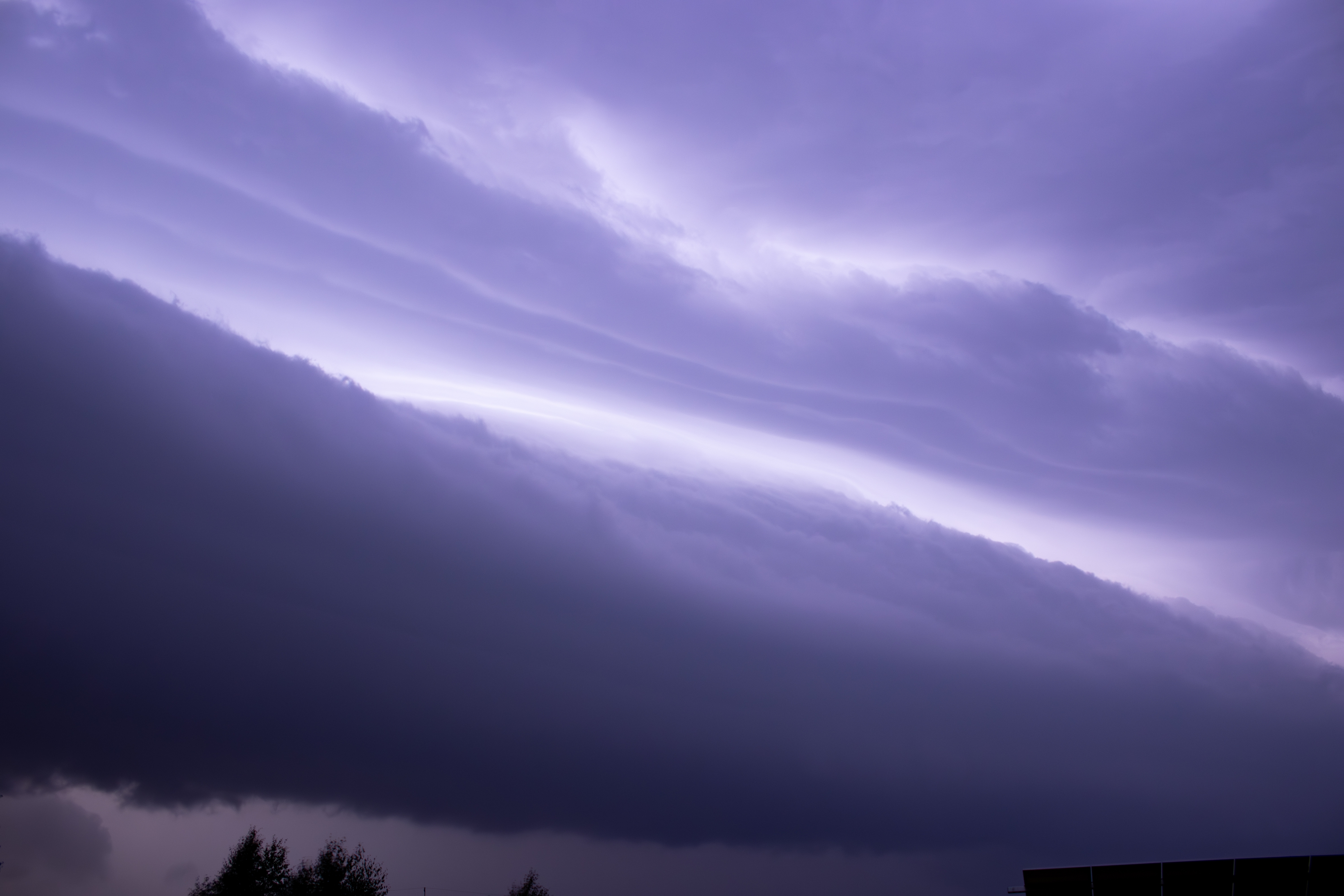 Arcus