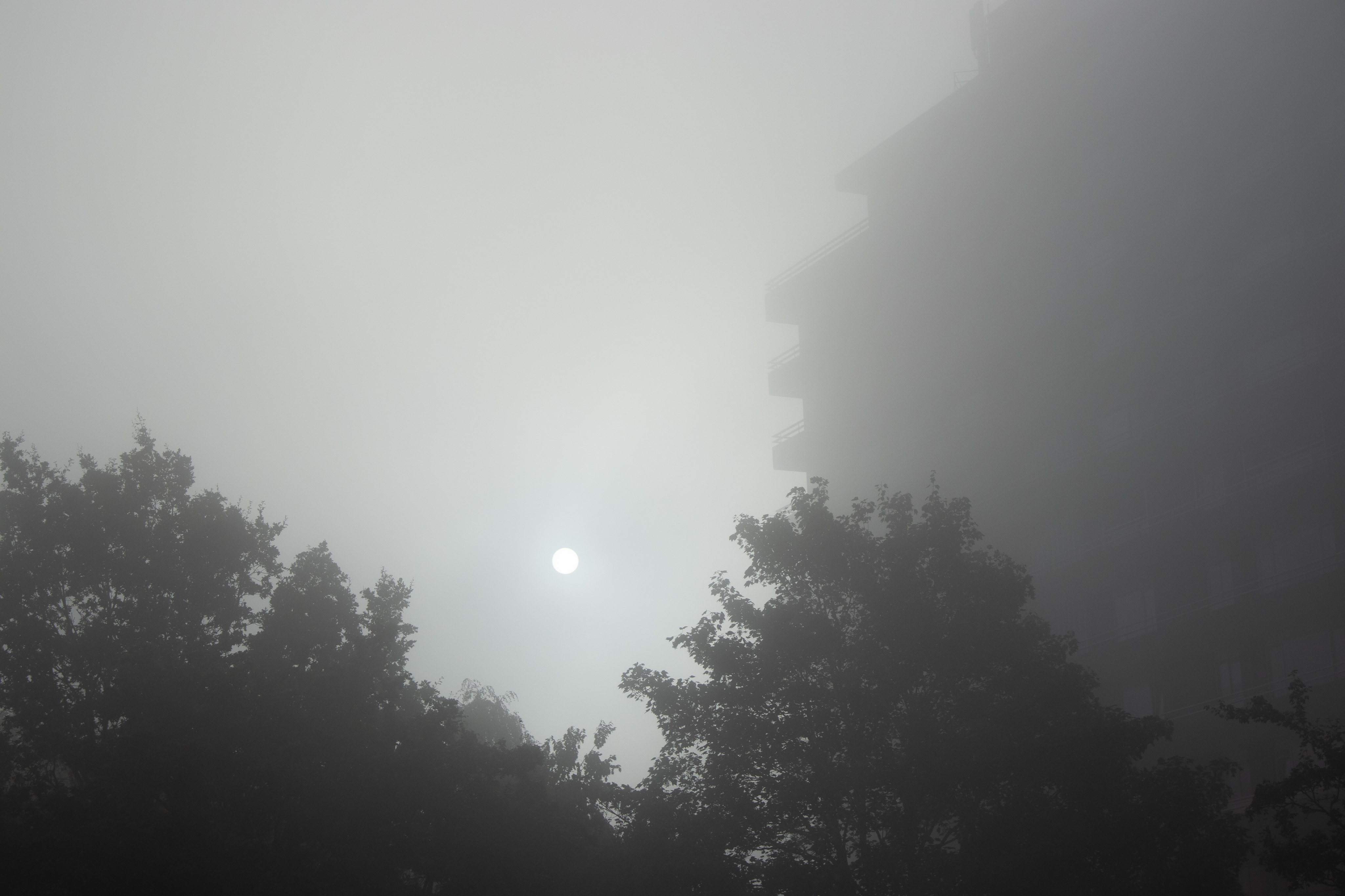 Fog