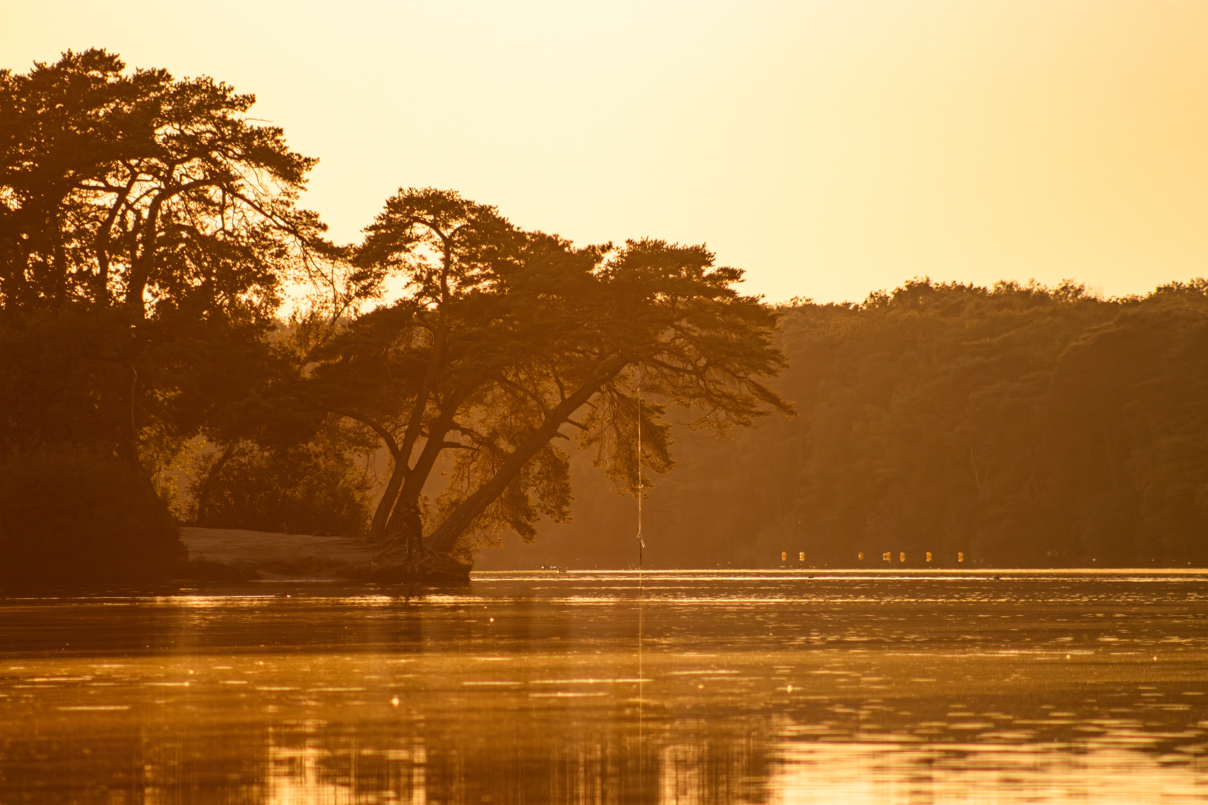 Lake mist